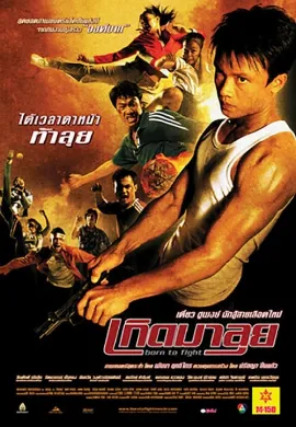 ดูหนังออนไลน์ Born to Fight (2004) เกิดมาลุย