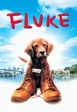 ดูหนังออนไลน์ Fluke (1995) เกิดใหม่กลายเป็นหมา